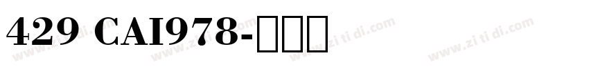 429 CAI978字体转换